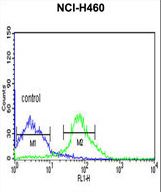 FKBP9 Antibody flow cytometry of NCI-H460 cells (right histogram) compared to a negative control cell (left histogram). FITC-conjugated goat-anti-rabbit secondary antibodies were used for the analysis.