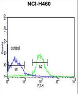 FKBP9 Antibody flow cytometry of NCI-H460 cells (right histogram) compared to a negative control cell (left histogram). FITC-conjugated goat-anti-rabbit secondary antibodies were used for the analysis.