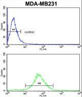 FMO3 Antibody flow cytometry of MDA-MB231 cells (bottom histogram) compared to a negative control cell (top histogram). FITC-conjugated goat-anti-rabbit secondary antibodies were used for the analysis.