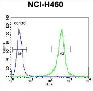 FMR1 Antibody flow cytometry of NCI-H460 cells (right histogram) compared to a negative control cell (left histogram). FITC-conjugated goat-anti-rabbit secondary antibodies were used for the analysis.