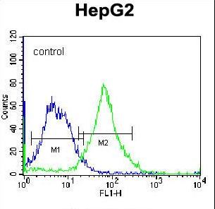 FNDC7 Antibody flow cytometry of K562 cells (right histogram) compared to a negative control cell (left histogram). FITC-conjugated donkey-anti-rabbit secondary antibodies were used for the analysis.