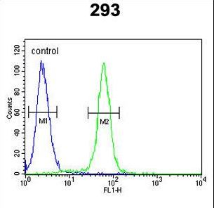 c-fos Antibody flow cytometry of 293 cells (right histogram) compared to a negative control cell (left histogram). FITC-conjugated goat-anti-rabbit secondary antibodies were used for the analysis.