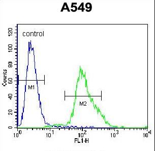 FOXN1 Antibody flow cytometry of A549 cells (right histogram) compared to a negative control cell (left histogram). FITC-conjugated goat-anti-rabbit secondary antibodies were used for the analysis.