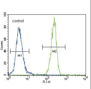 FOXP3 Antibody flow cytometry of 293 cells (right histogram) compared to a negative control cell (left histogram). FITC-conjugated goat-anti-rabbit secondary antibodies were used for the analysis.