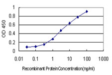 Detection limit for recombinant GST tagged FOXR2 is approximately 0.1 ng/ml as a capture antibody.