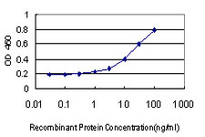 Detection limit for recombinant GST tagged COL4A6 is approximately 1 ng/ml as a capture antibody.