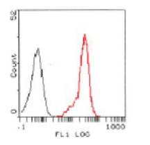 Flow cytometry of HL-60 cells using LS-C66268 (red) compared with non-specific negative control antibody (black).