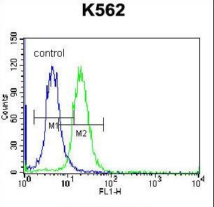 FSHB/FSH Antibody flow cytometry of K562 cells (right histogram) compared to a negative control cell (left histogram). FITC-conjugated donkey-anti-rabbit secondary antibodies were used for the analysis.