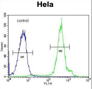 FUS Antibody flow cytometry of HeLa cells (right histogram) compared to a negative control cell (left histogram). FITC-conjugated goat-anti-rabbit secondary antibodies were used for the analysis.