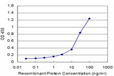 Detection limit for recombinant GST tagged FUT7 is approximately 0.3 ng/ml as a capture antibody.