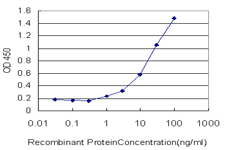 Detection limit for recombinant GST tagged FVT1 is approximately 1 ng/ml as a capture antibody.