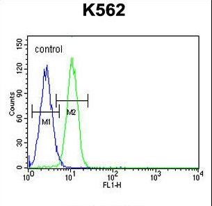G6PC Antibody flow cytometry of K562 cells (right histogram) compared to a negative control cell (left histogram). FITC-conjugated goat-anti-rabbit secondary antibodies were used for the analysis.