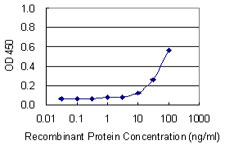 Detection limit for recombinant GST tagged G6PD is 3 ng/ml as a capture antibody.