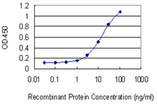 Detection limit for recombinant GST tagged GAA is 0.3 ng/ml as a capture antibody.