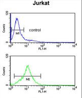 GAS7 Antibody flow cytometry of Jurkat cells (bottom histogram) compared to a negative control cell (top histogram). FITC-conjugated goat-anti-rabbit secondary antibodies were used for the analysis.