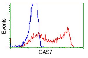 HEK293T cells transfected with either overexpress plasmid (Red) or empty vector control plasmid (Blue) were immunostained by anti-GAS7 antibody, and then analyzed by flow cytometry.