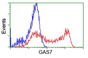 HEK293T cells transfected with either overexpress plasmid (Red) or empty vector control plasmid (Blue) were immunostained by anti-GAS7 antibody, and then analyzed by flow cytometry.