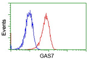 Flow cytometry of Jurkat cells, using anti-GAS7 antibody, (Red), compared to a nonspecific negative control antibody, (Blue).