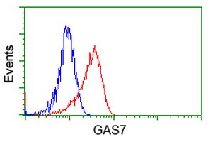 Flow cytometry of HeLa cells, using anti-GAS7 antibody, (Red), compared to a nonspecific negative control antibody, (Blue).