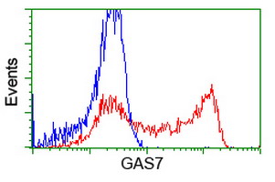 HEK293T cells transfected with either overexpress plasmid (Red) or empty vector control plasmid (Blue) were immunostained by anti-GAS7 antibody, and then analyzed by flow cytometry.