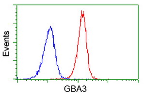 Flow cytometry of Jurkat cells, using anti-GBA3 antibody (Red), compared to a nonspecific negative control antibody (Blue).