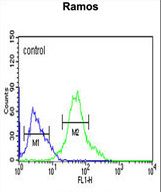 GBAS Antibody flow cytometry of Ramos cells (right histogram) compared to a negative control cell (left histogram). FITC-conjugated goat-anti-rabbit secondary antibodies were used for the analysis.
