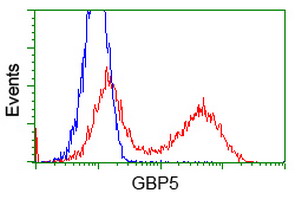 HEK293T cells transfected with either overexpress plasmid (Red) or empty vector control plasmid (Blue) were immunostained by anti-GBP5 antibody, and then analyzed by flow cytometry.