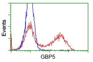 HEK293T cells transfected with either overexpress plasmid (Red) or empty vector control plasmid (Blue) were immunostained by anti-GBP5 antibody, and then analyzed by flow cytometry.