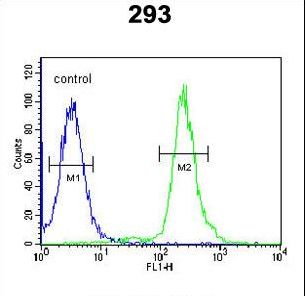 GBP7 Antibody flow cytometry of 293 cells (right histogram) compared to a negative control cell (left histogram). FITC-conjugated goat-anti-rabbit secondary antibodies were used for the analysis.