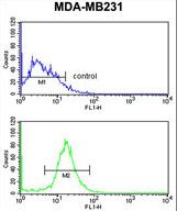 DIRAS1 Antibody flow cytometry of MDA-MB231 cells (bottom histogram) compared to a negative control cell (top histogram). FITC-conjugated goat-anti-rabbit secondary antibodies were used for the analysis.