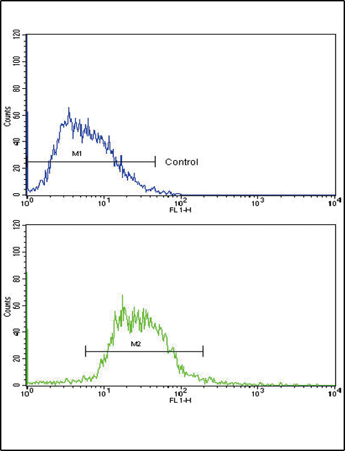 Flow cytometric of HepG2 cells using GCG Antibody (bottom histogram) compared to a negative control cell (top histogram). FITC-conjugated goat-anti-rabbit secondary antibodies were used for the analysis.