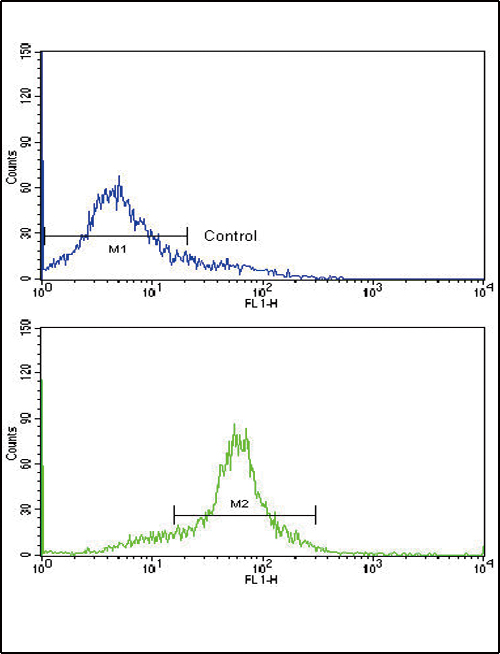 Flow cytometric of WiDr cells using Glucagon Antibody (bottom histogram) compared to a negative control cell (top histogram). FITC-conjugated goat-anti-rabbit secondary antibodies were used for the analysis.
