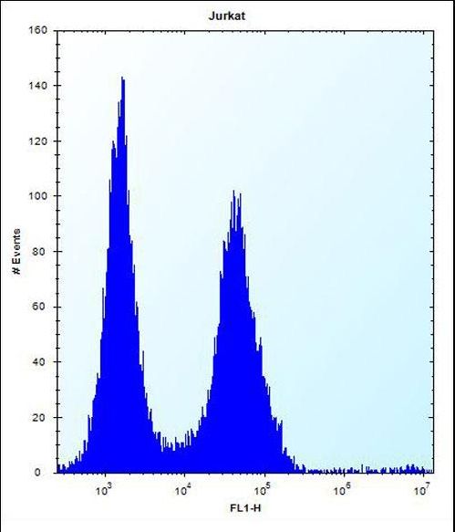 MAP4K2 Antibody flow cytometry of Jurkat cells (right histogram) compared to a negative control cell (left histogram). FITC-conjugated donkey-anti-rabbit secondary antibodies were used for the analysis.