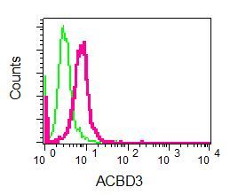 Flow cytometry of permeabilized K562 cells using anti-ACBD3 antibody (red)or a rabbit IgG (negative) (green).