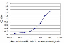 Detection limit for recombinant GST tagged GCSH is approximately 0.1 ng/ml as a capture antibody.