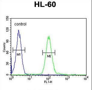 COQ7 Antibody flow cytometry of HL-60 cells (right histogram) compared to a negative control cell (left histogram). FITC-conjugated goat-anti-rabbit secondary antibodies were used for the analysis.