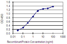 Detection limit for recombinant GST tagged GJA8 is 0.03 ng/ml as a capture antibody.