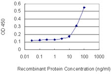 Detection limit for recombinant GST tagged GJB2 is 3 ng/ml as a capture antibody.