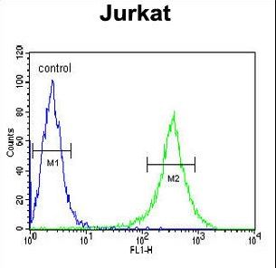 GNE Antibody flow cytometry of Jurkat cells (right histogram) compared to a negative control cell (left histogram). FITC-conjugated goat-anti-rabbit secondary antibodies were used for the analysis.