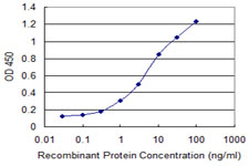 Detection limit for recombinant GST tagged GLE1 is 0.1 ng/ml as a capture antibody.