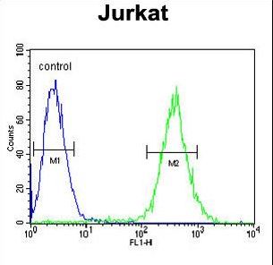 GLRX5 Antibody flow cytometry of Jurkat cells (right histogram) compared to a negative control cell (left histogram). FITC-conjugated goat-anti-rabbit secondary antibodies were used for the analysis.