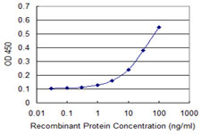 Detection limit for recombinant GST tagged GLS is approximately 0.3 ng/ml as a capture antibody.