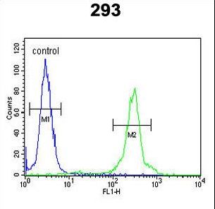 GL8D2 Antibody flow cytometry of 293 cells (right histogram) compared to a negative control cell (left histogram). FITC-conjugated goat-anti-rabbit secondary antibodies were used for the analysis.
