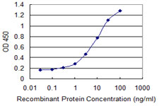Detection limit for recombinant GST tagged GLYAT is 0.1 ng/ml as a capture antibody.