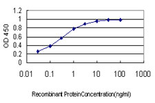 Detection limit for recombinant GST tagged GMEB1 is approximately 0.03 ng/ml as a capture antibody.