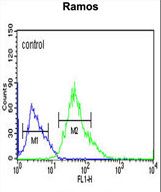 CORO6 Antibody flow cytometry of Ramos cells (right histogram) compared to a negative control cell (left histogram). FITC-conjugated goat-anti-rabbit secondary antibodies were used for the analysis.