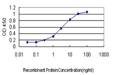Detection limit for recombinant GST tagged GMPS is approximately 0.1 ng/ml as a capture antibody.