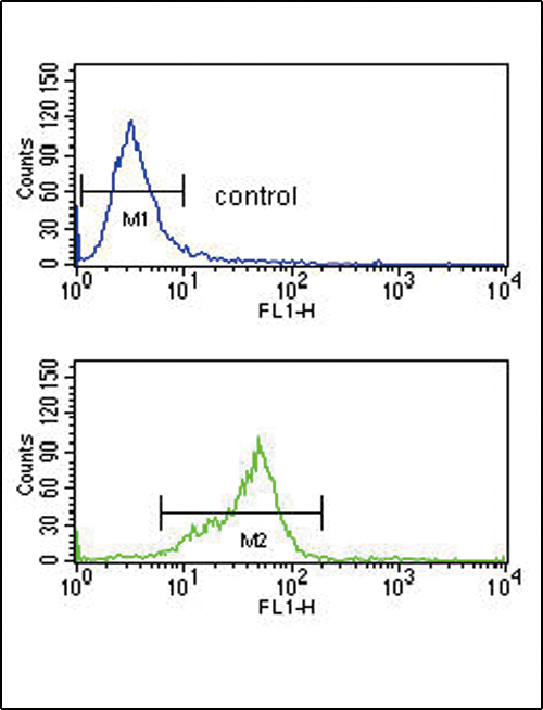 GNAO1 Antibody flow cytometry of K562 cells (bottom histogram) compared to a negative control cell (top histogram). FITC-conjugated goat-anti-rabbit secondary antibodies were used for the analysis.