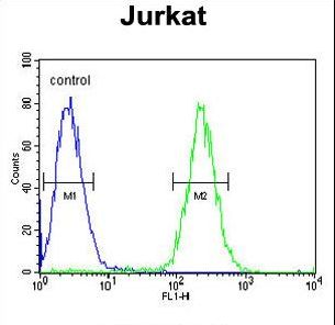 GNAT1 Antibody flow cytometry of Jurkat cells (right histogram) compared to a negative control cell (left histogram). FITC-conjugated goat-anti-rabbit secondary antibodies were used for the analysis.