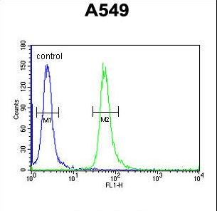 GNAT3 Antibody flow cytometry of A549 cells (right histogram) compared to a negative control cell (left histogram). FITC-conjugated goat-anti-rabbit secondary antibodies were used for the analysis.
